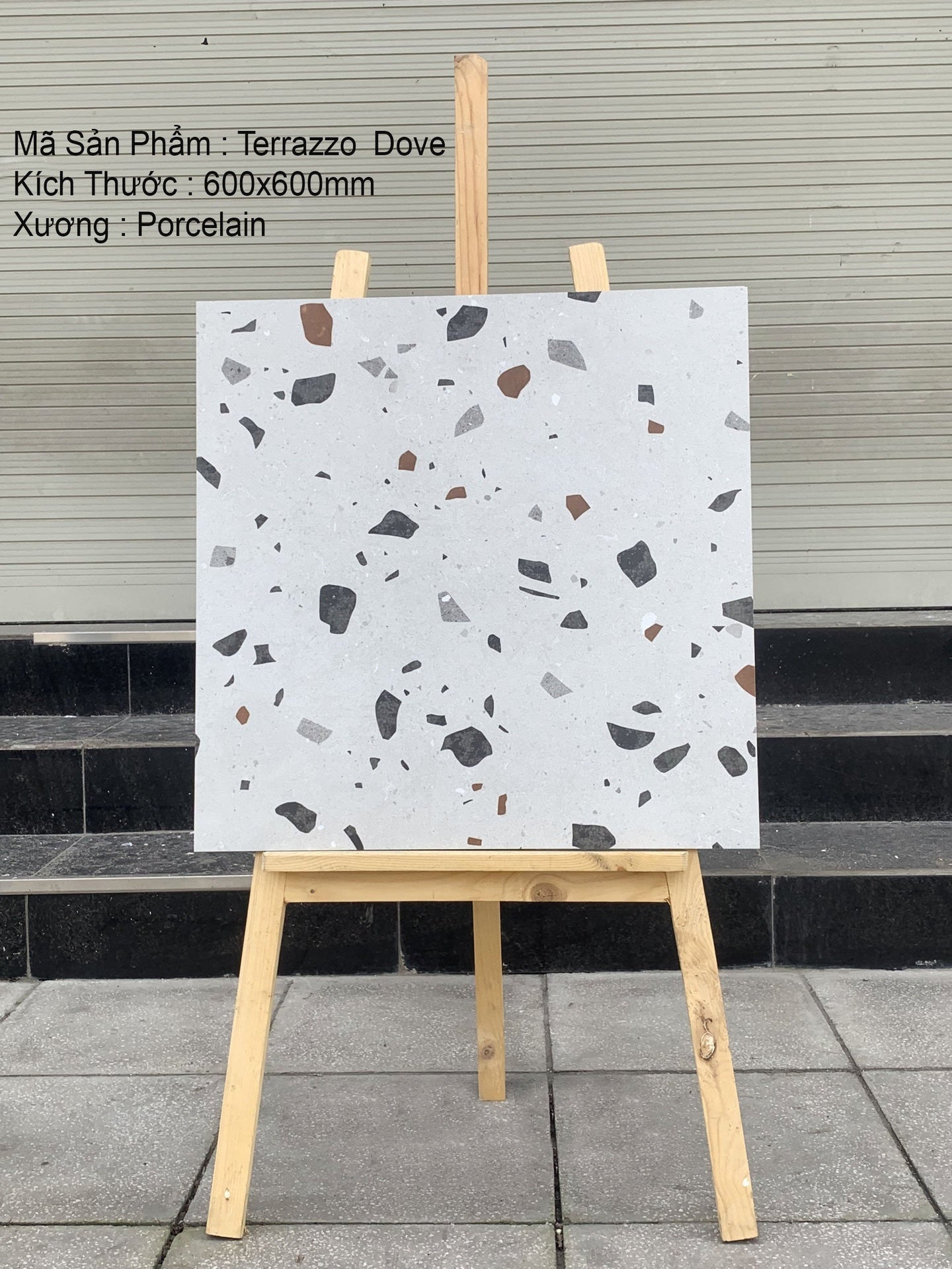 Gạch 600x600 Terrazzo Ấn Độ Dove - Daisan Mart