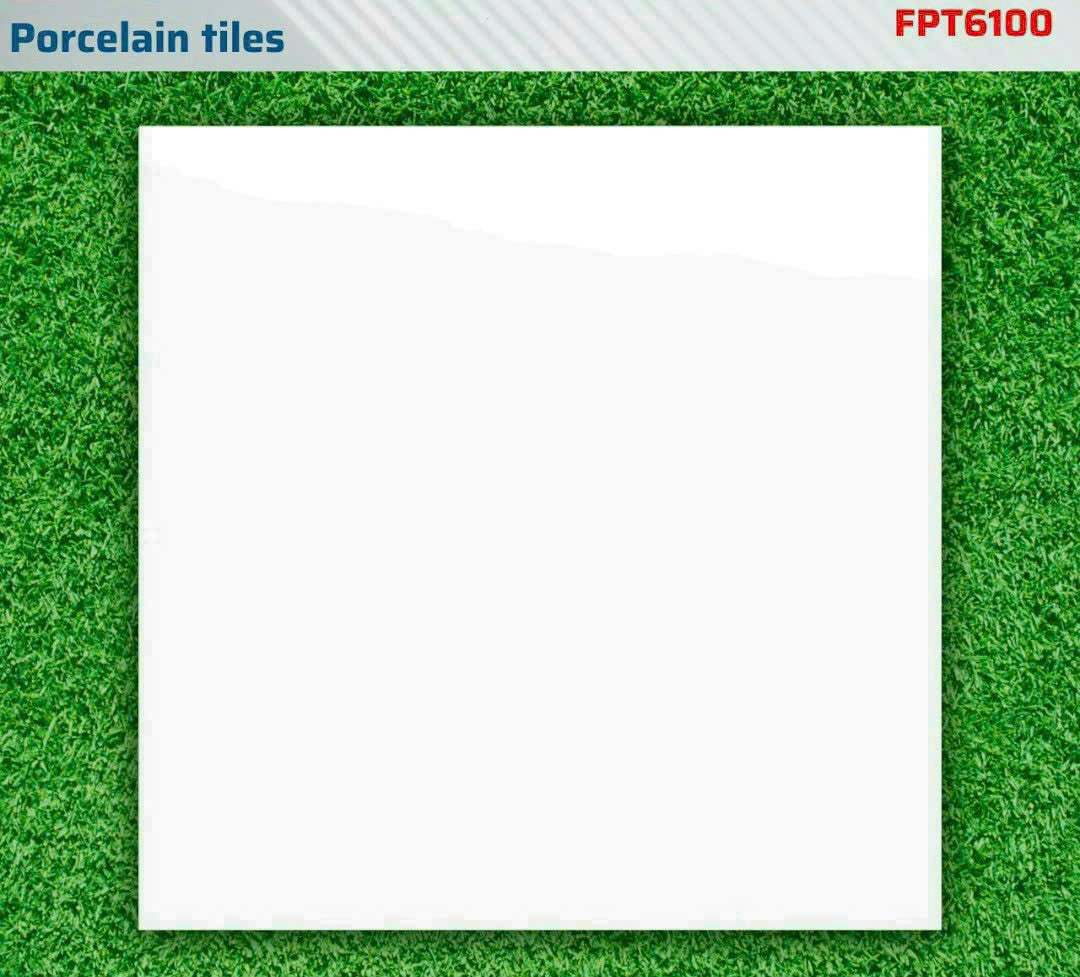 Gạch 600x600mm trắng bóng FPT6100 - Daisan Mart