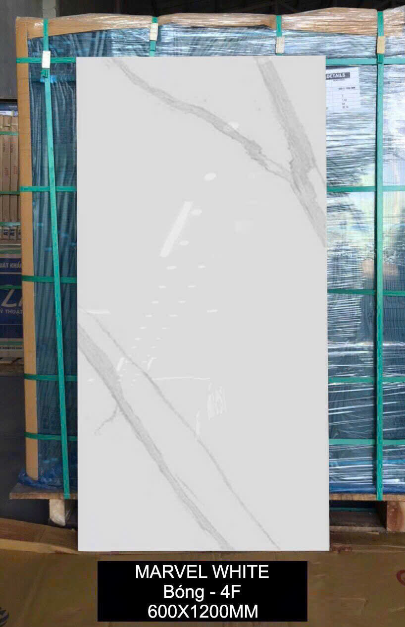 Gạch 60x120cm INDIA bóng mã Mervel White - 4F - Daisan Mart