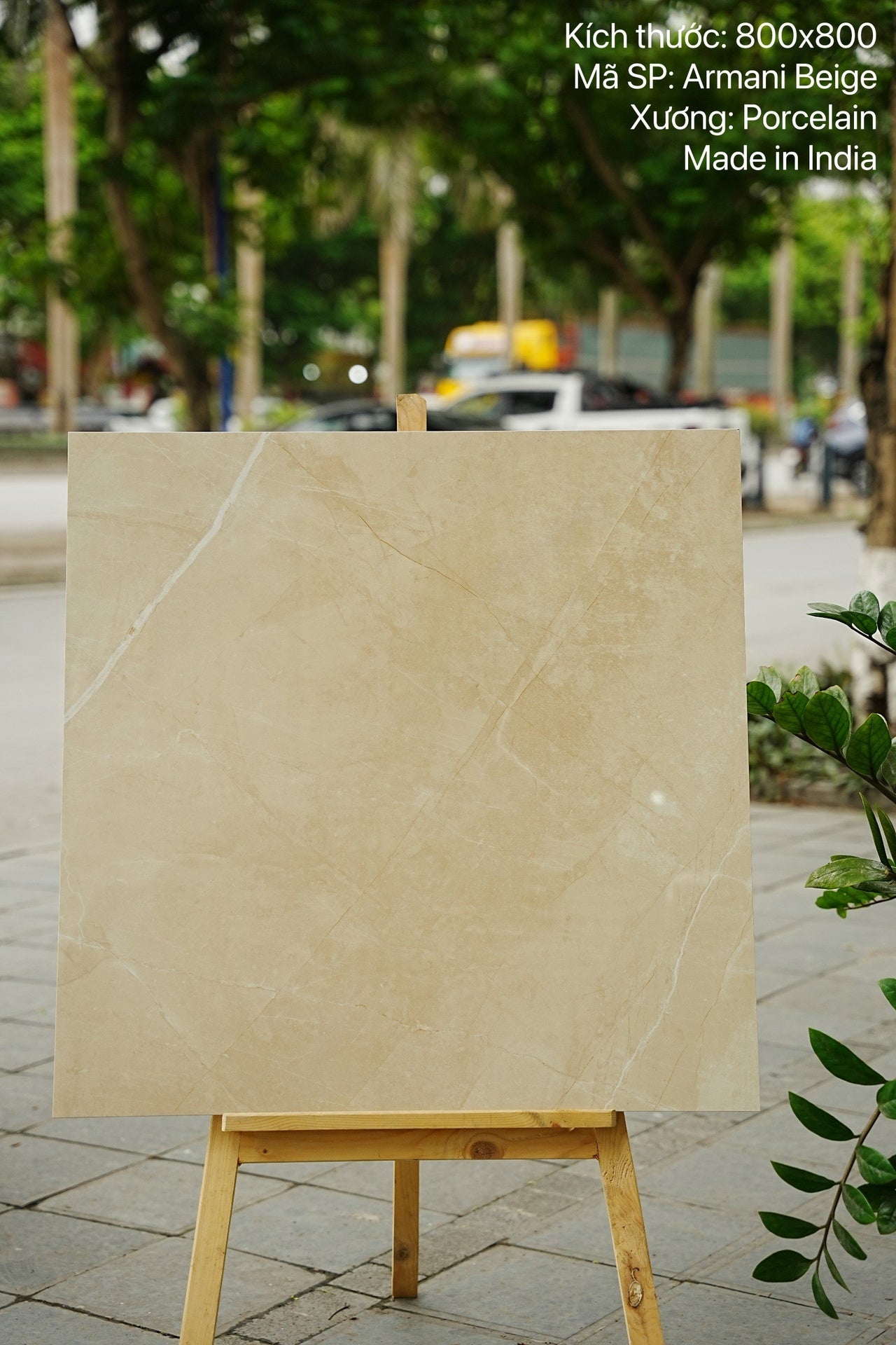 Gạch 80x80 cao cấp nhập khẩu Ấn Độ Armani Beige - Daisan Mart