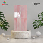 Gạch ốp tường KT 300x600mm DS3060-02 - Daisan Mart