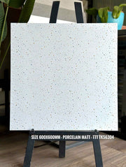 Gạch terazo TK 56304 KT 60x60cm - Daisan Mart