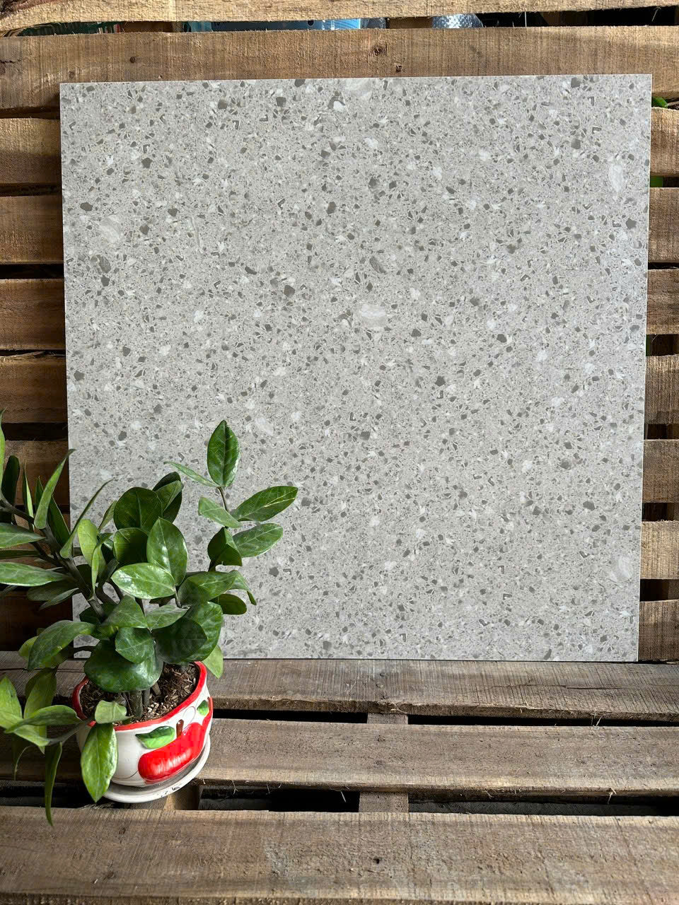 Gạch terazo Xám KS60423 KT 60x60 - Daisan Mart