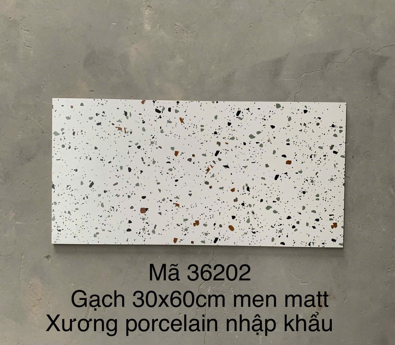 Gạch Terrazo porcelain men matt 300x600mm (1h/1.44m/8v) 36202 - Daisan Mart