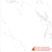 Gạch granite 600x600 Thạch Bàn PGM60-0225 - Daisan Mart