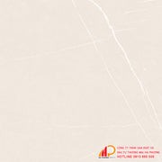 Gạch granite 800x800 Thạch Bàn TGB80-0234 - Daisan Mart