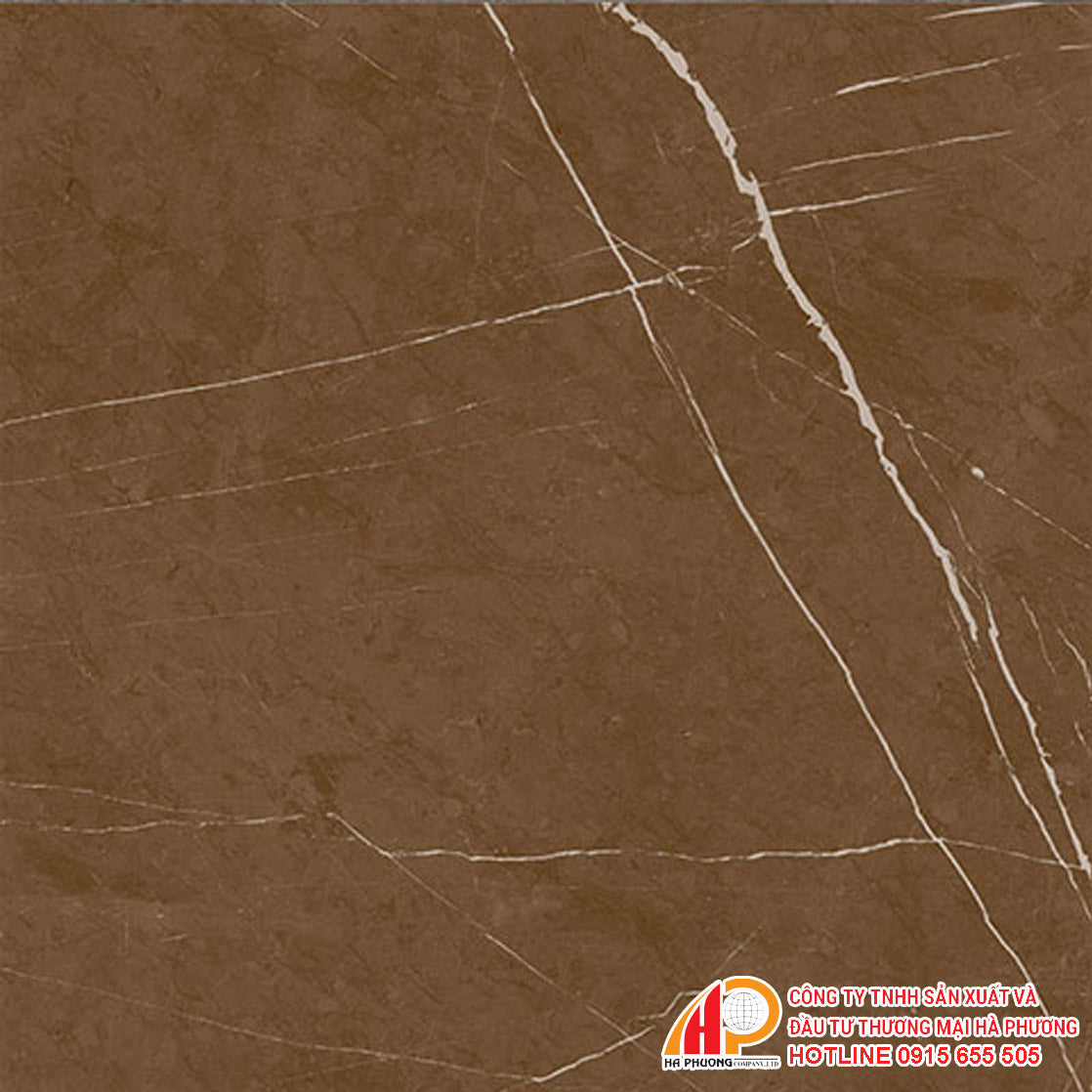 Gạch granite men bóng Thạch Bàn TGB60-0236 - Daisan Mart