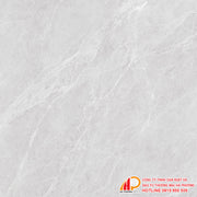 Gạch granite men bóng Thạch Bàn TGB80-0265 - Daisan Mart