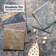 Gạch hồ bơi Bluwhale chống trơn in phun màu cổ điển mờ hình vuông lớn 6c6 - Daisan Mart