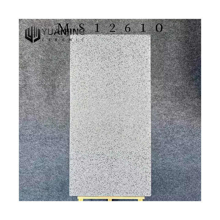 Gạch men mài bóng cao cấp khổ lớn mờ 600x1200mm - Daisan Mart