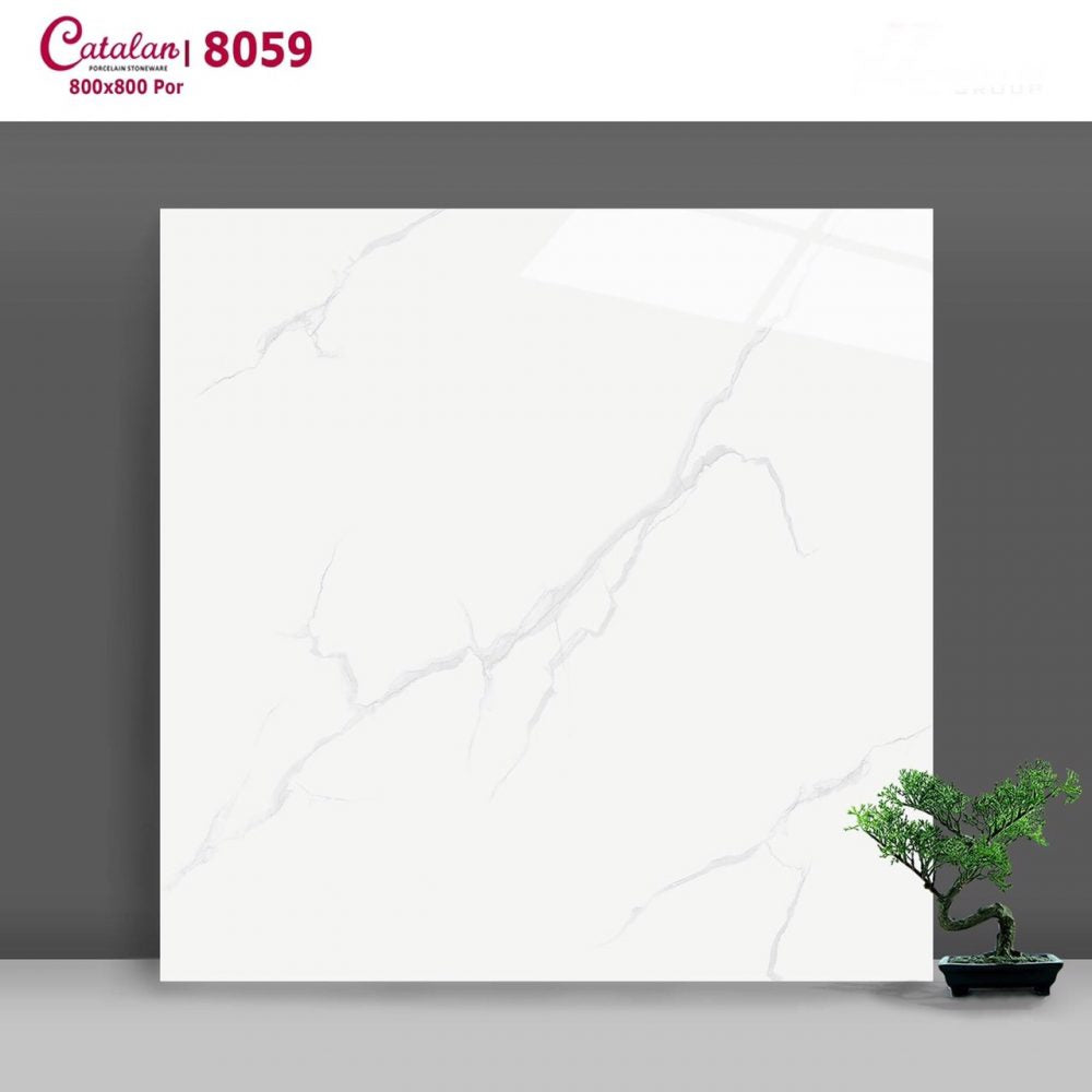 Gạch ốp lát  Catalan  vân khói 8059 - Daisan Mart