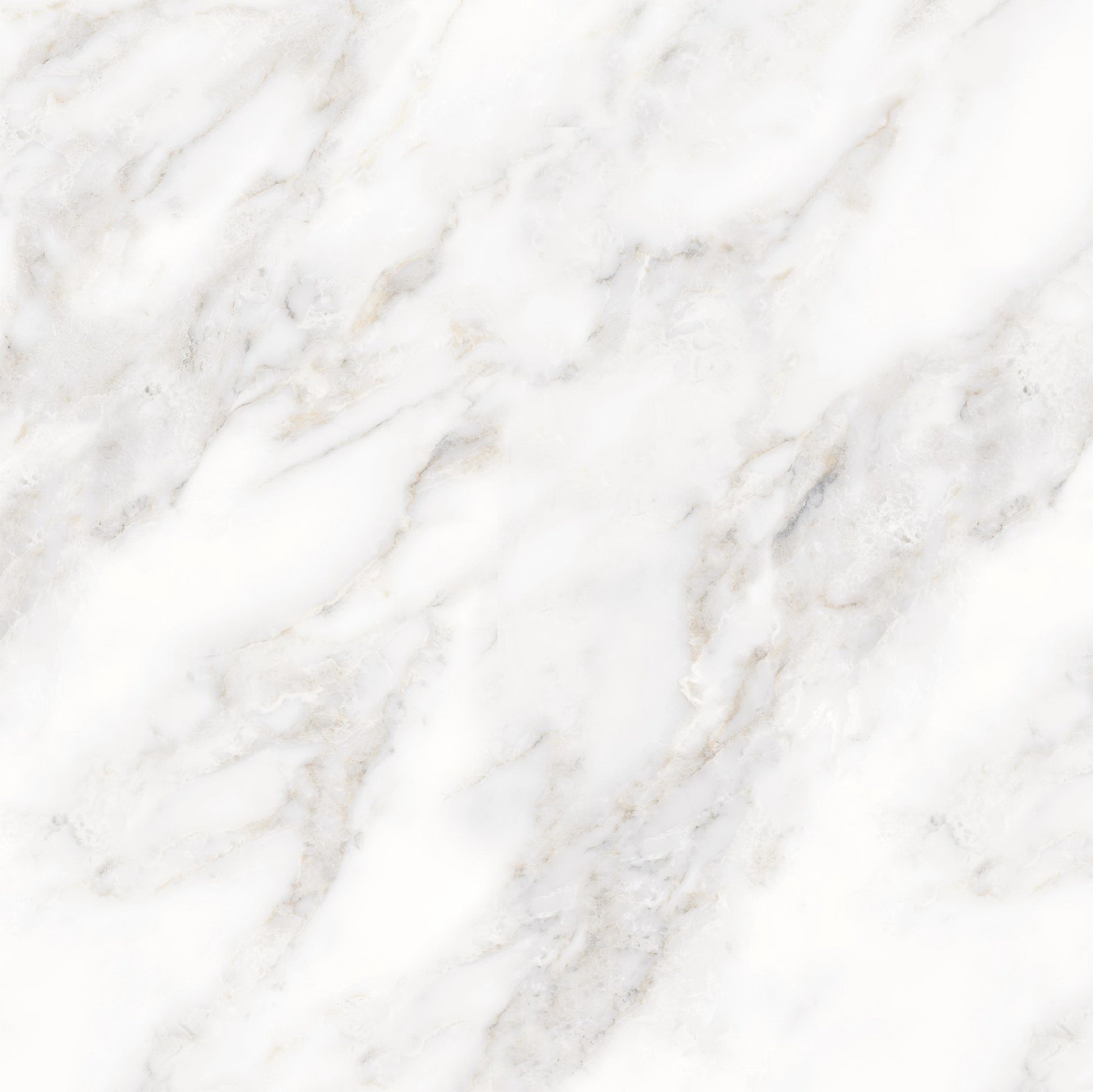 GẠCH PORCELAIN PRIME 80×80 MÃ 8174 BÓNG - Daisan Mart