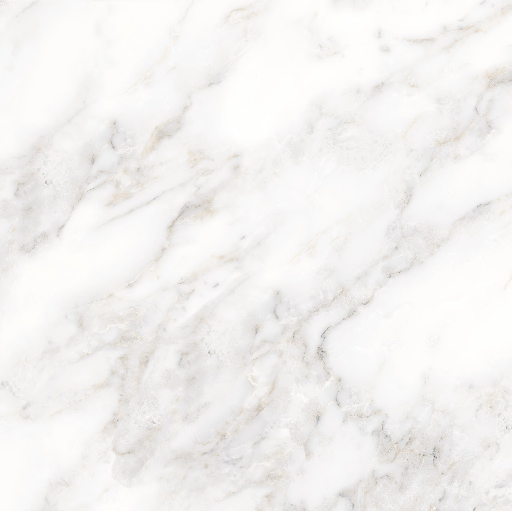 GẠCH PORCELAIN PRIME 80×80 MÃ 8174 BÓNG - Daisan Mart