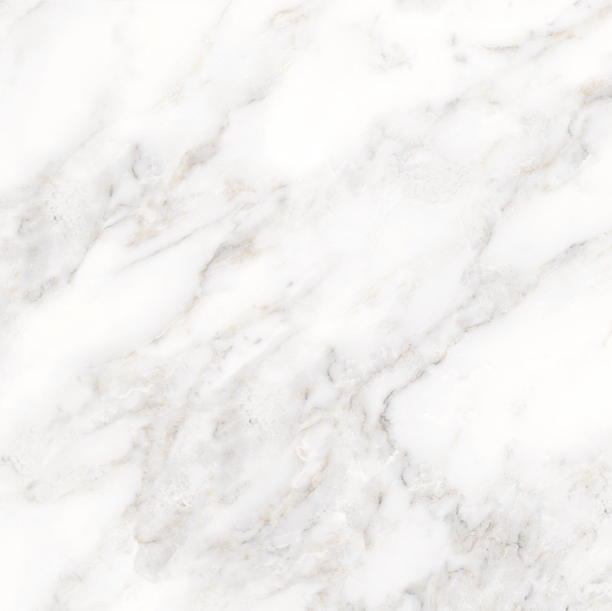 GẠCH PORCELAIN PRIME 80×80 MÃ 8174 BÓNG - Daisan Mart