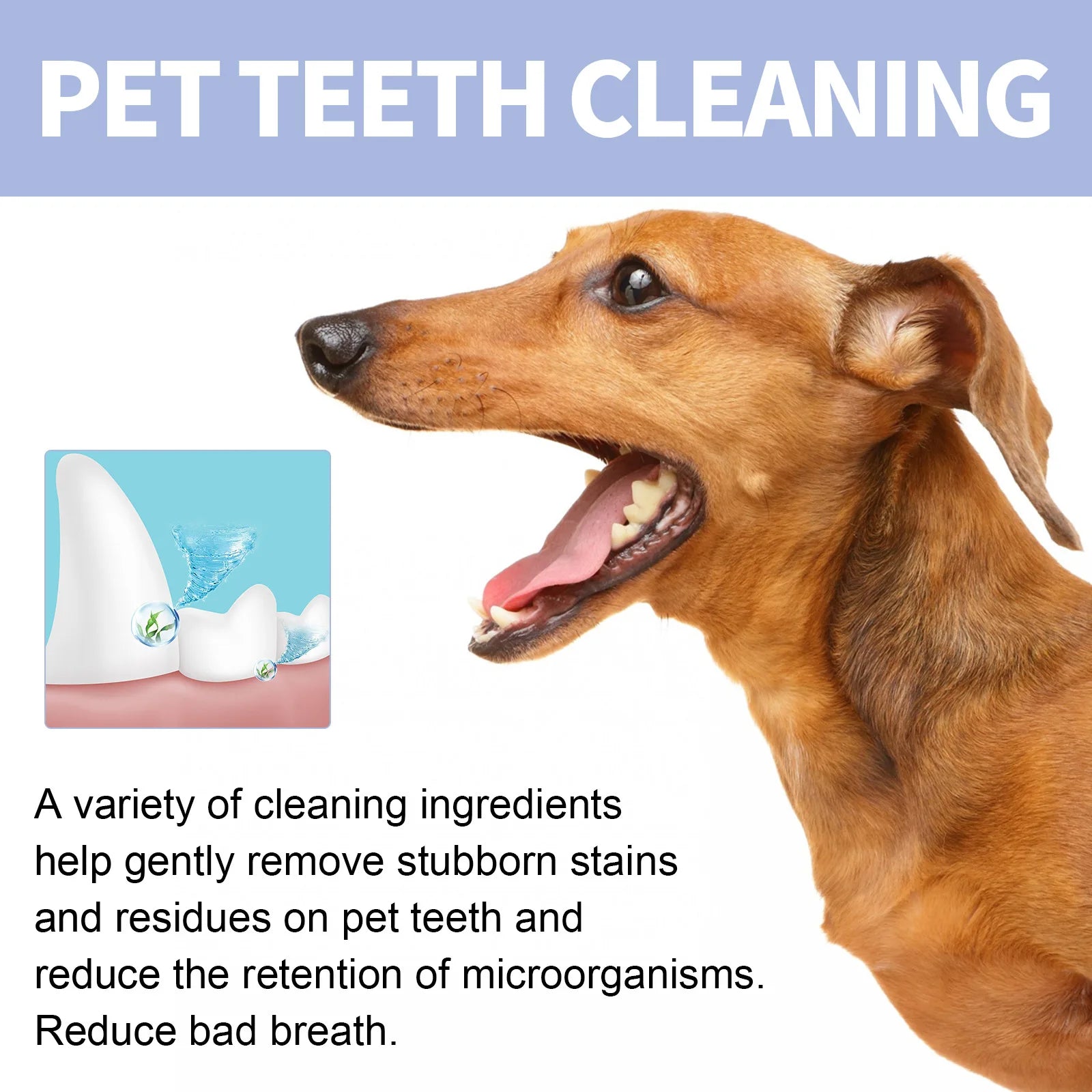 Pet Cleaning Toothpaste Cleaning tartar, stain repair, teeth whitening, cat and dog oral care - Daisan Mart