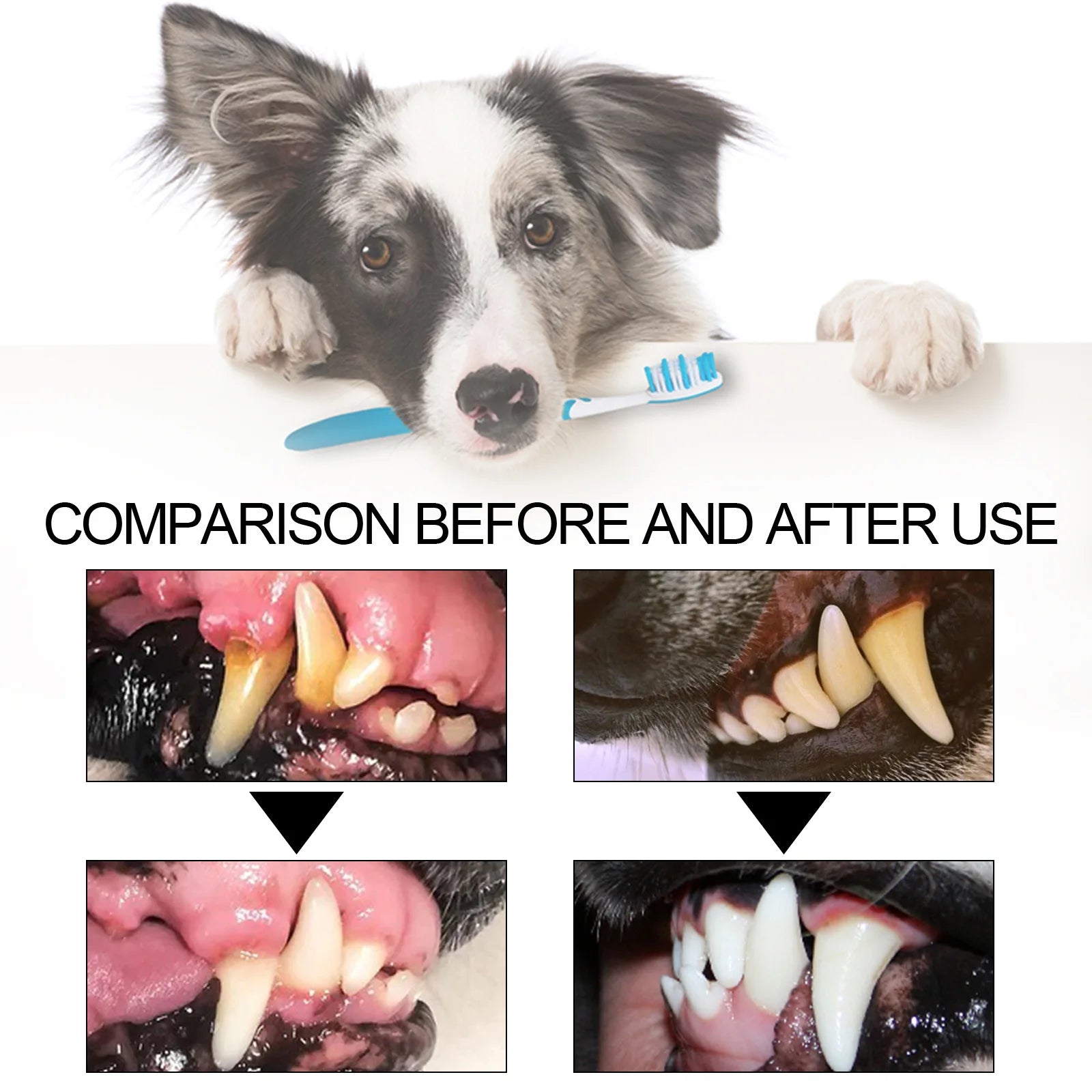Pet Cleaning Toothpaste Cleaning tartar, stain repair, teeth whitening, cat and dog oral care - Daisan Mart