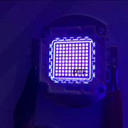 Chip LED Tím UV 395nm Công Suất Cao 20W-100W - Daisan Mart