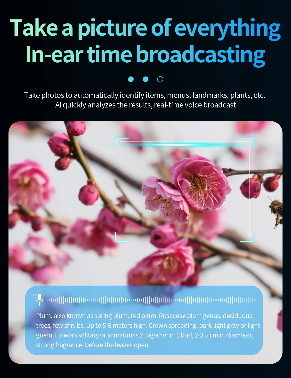 LIGE AI Smart Glasses 8MP HD Camera Video Bluetooth Call 270mAh Voice Control Identify Objects Translate Sunglasses Lenses Gifts