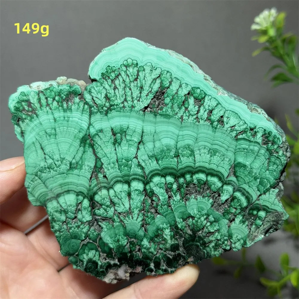 Thiên Nhiên Đá Malachite Sống Thiền Trang Trí 50cm - Daisan Mart