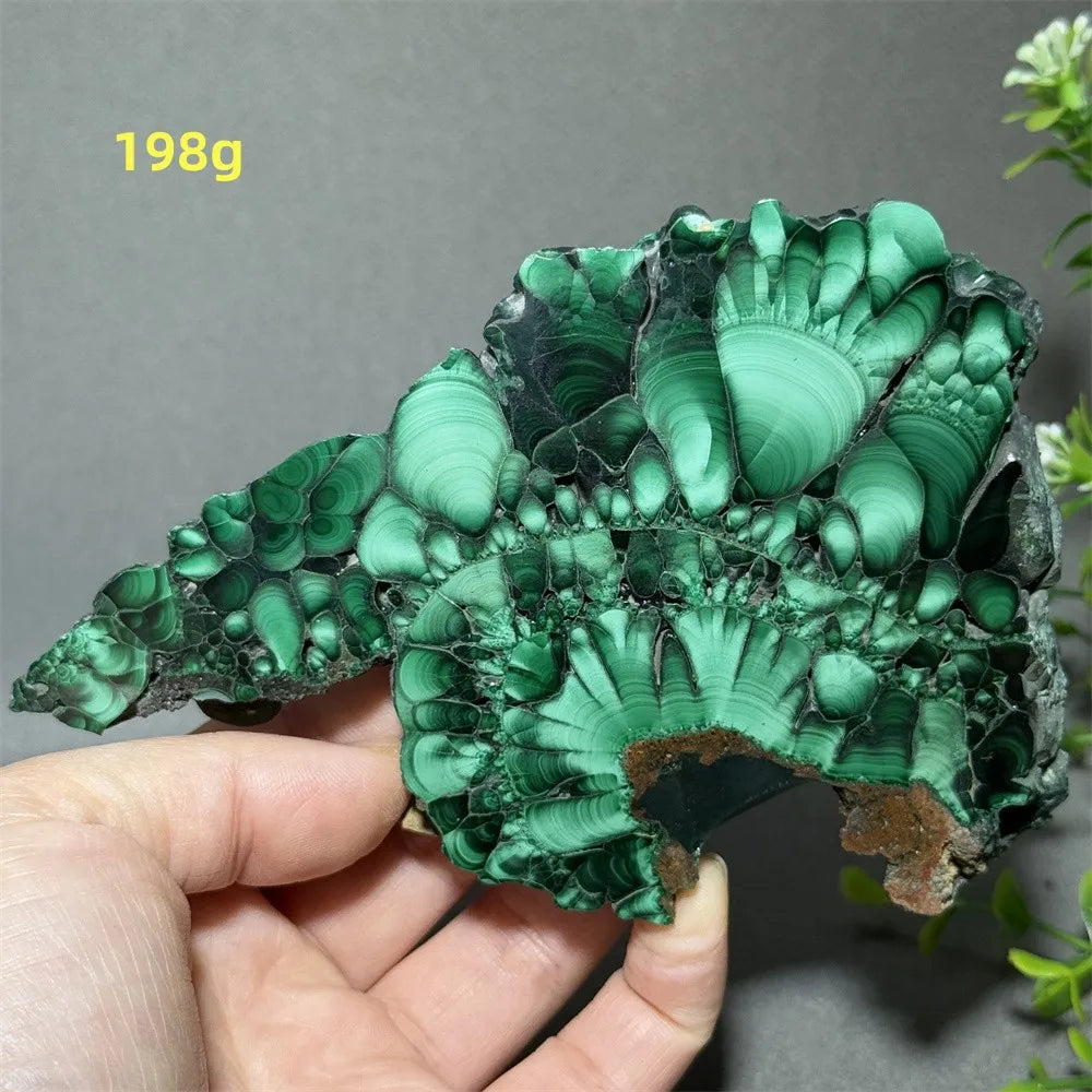 Thiên Nhiên Đá Malachite Sống Thiền Trang Trí 50cm - Daisan Mart