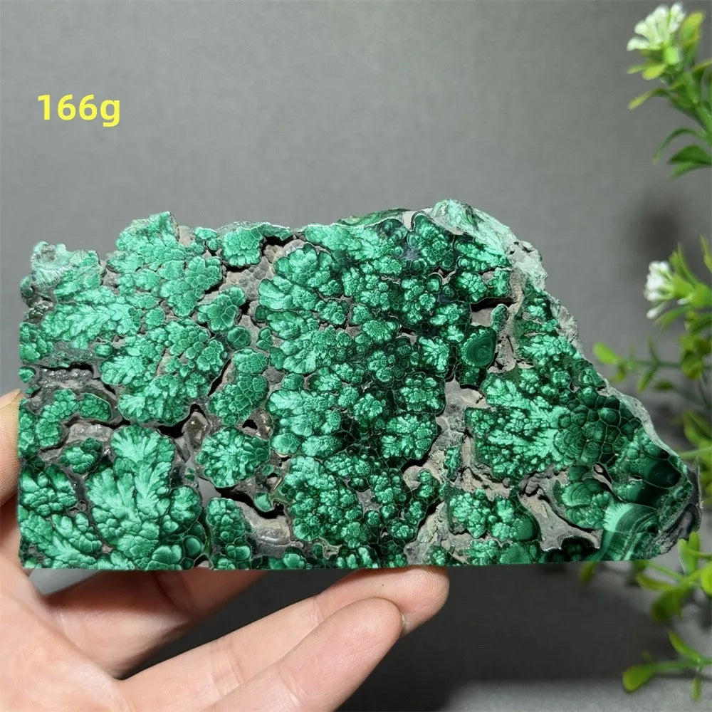 Thiên Nhiên Đá Malachite Sống Thiền Trang Trí 50cm - Daisan Mart