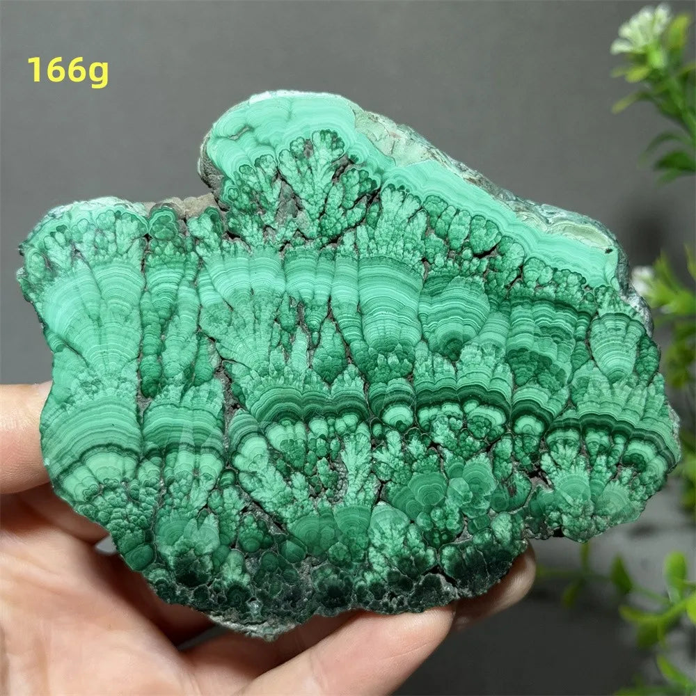 Thiên Nhiên Đá Malachite Sống Thiền Trang Trí 50cm - Daisan Mart