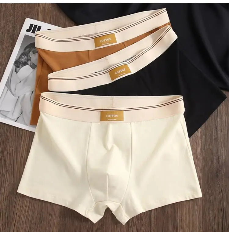 Quần Boxer Nam Cotton Thoáng Khí Thể Thao Gợi Cảm - Daisan Mart