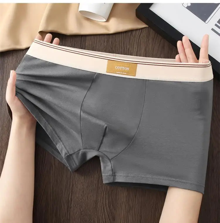 Quần Boxer Nam Cotton Thoáng Khí Thể Thao Gợi Cảm - Daisan Mart