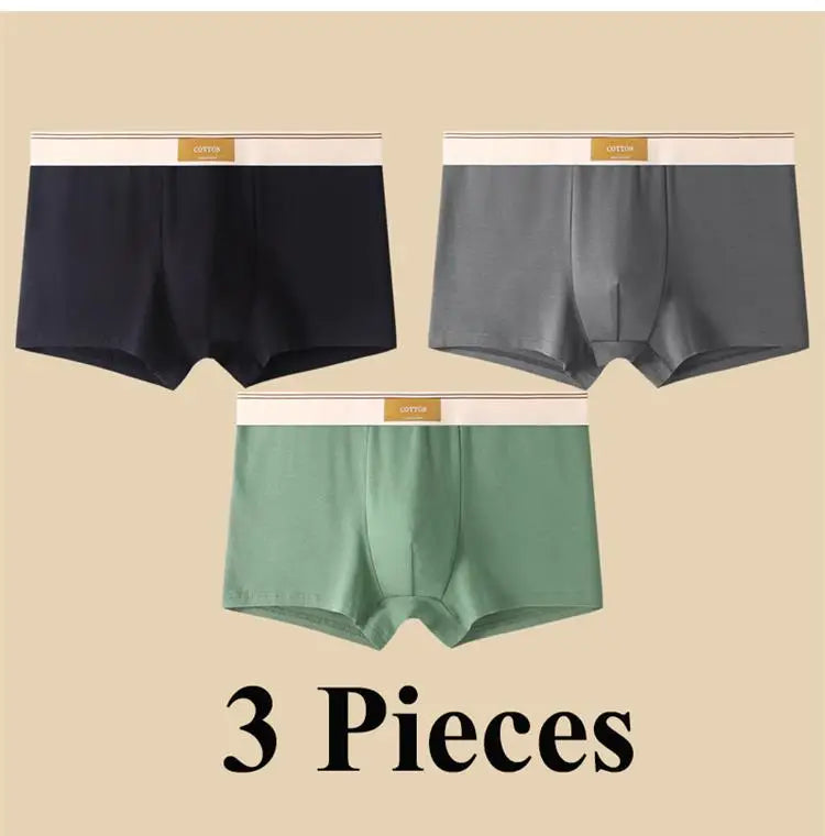Quần Boxer Nam Cotton Thoáng Khí Thể Thao Gợi Cảm - Daisan Mart
