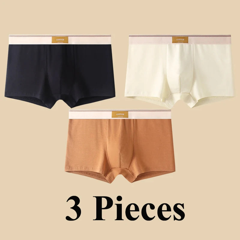 Quần Boxer Nam Cotton Thoáng Khí Thể Thao Gợi Cảm - Daisan Mart