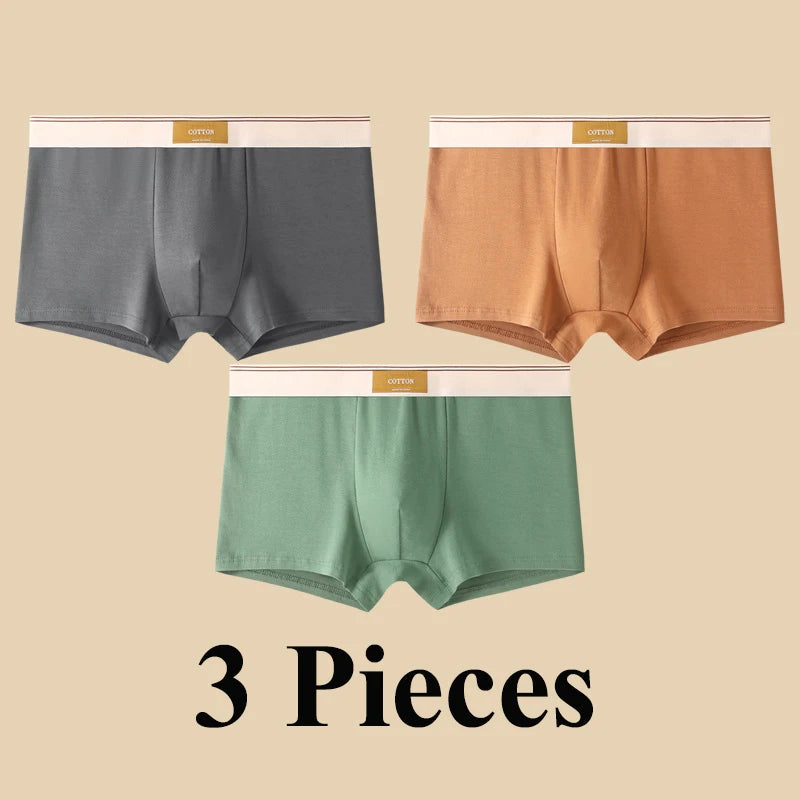 Quần Boxer Nam Cotton Thoáng Khí Thể Thao Gợi Cảm - Daisan Mart