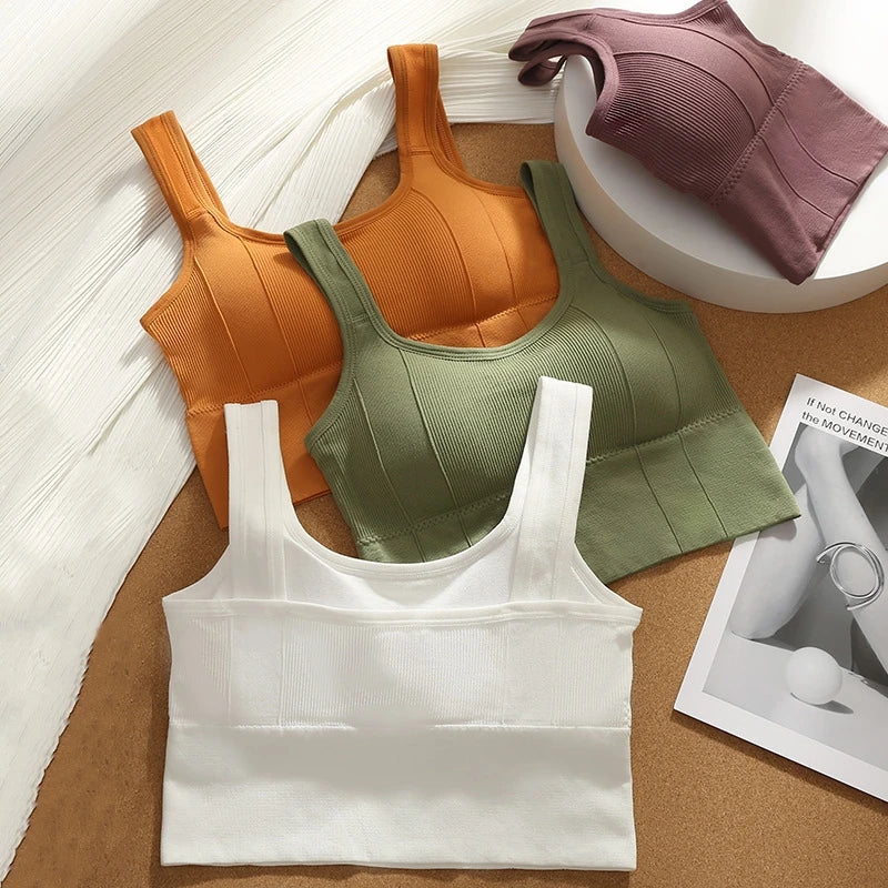 Áo Bra Thể Thao Nữ Chống Mồ Hôi, Đệm, Không Đường May - Daisan Mart