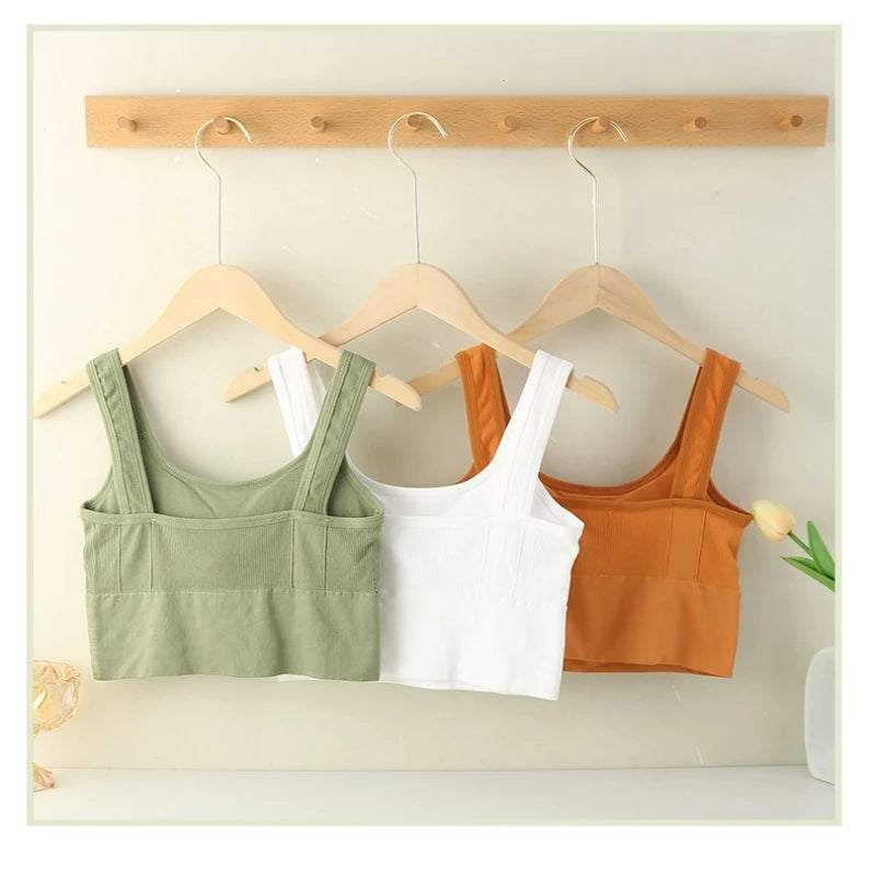 Áo Bra Thể Thao Nữ Chống Mồ Hôi, Đệm, Không Đường May - Daisan Mart