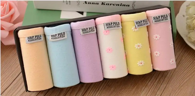 Combo 6 Quần Lót Nữ Ren Dễ Thương Thoáng Mát - Daisan Mart