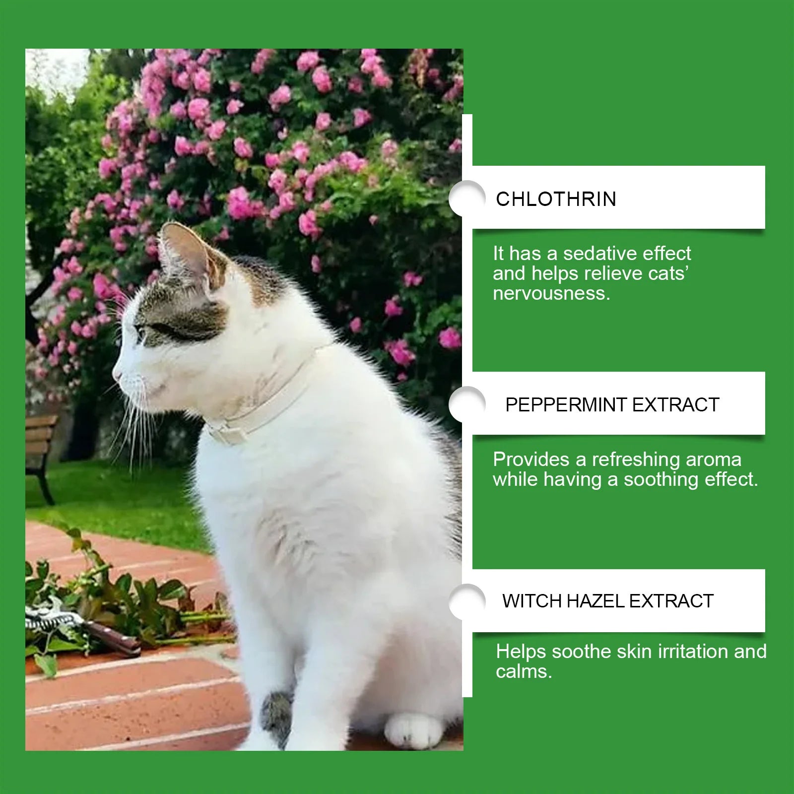 Cat Calming Diffuser Cat Pheromone Plug-In Relaxants Prevent Howling Pet Dogs Anti-Anxiety Reduces Anxiety Cat Calming Liquid - Daisan Mart