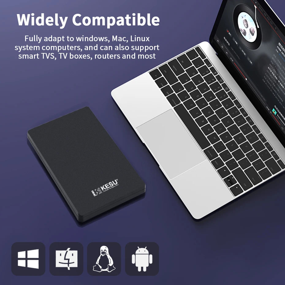 Ổ Cứng Di Động 2TB/1TB/500GB USB 2.5 cho Máy Tính - Daisan Mart