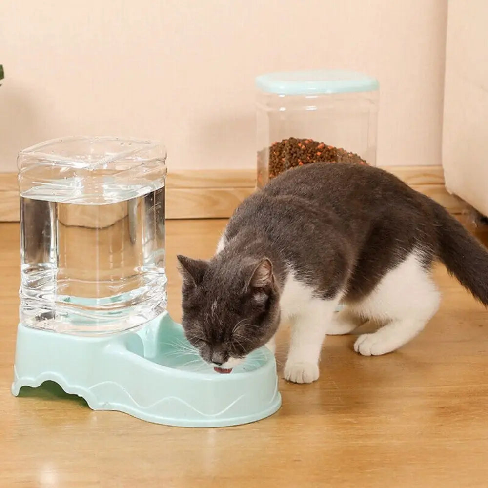 3.8L PP material Pet feeder Pet Water Fountain Drink Bowl Automatic Pet Feeder Large Cat Dog Food Dispenser - Daisan Mart