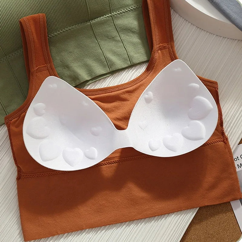 Áo Ngực Thể Thao Chống Mồ Hôi Đệm Nâng Không Đường May - Daisan Mart