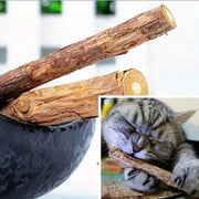 Que củi trong tô và mèo xám đang cắn que trong hình nhỏ, phông nền trắng mờ.