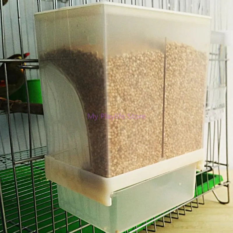 Máy Cho Ăn Tự Động Cho Gà Chim Bồ Câu Vẹt Thú Cưng - Daisan Mart