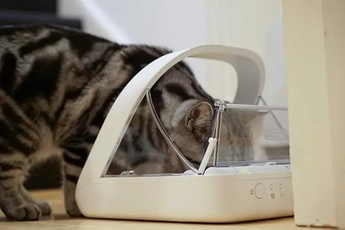 Microchip Pet Feeder - Selective-Automatic Pet Feeder Makes Meal Times Stress-Free, Suitable for Both Wet and Dry Food - MPF001 - Daisan Mart