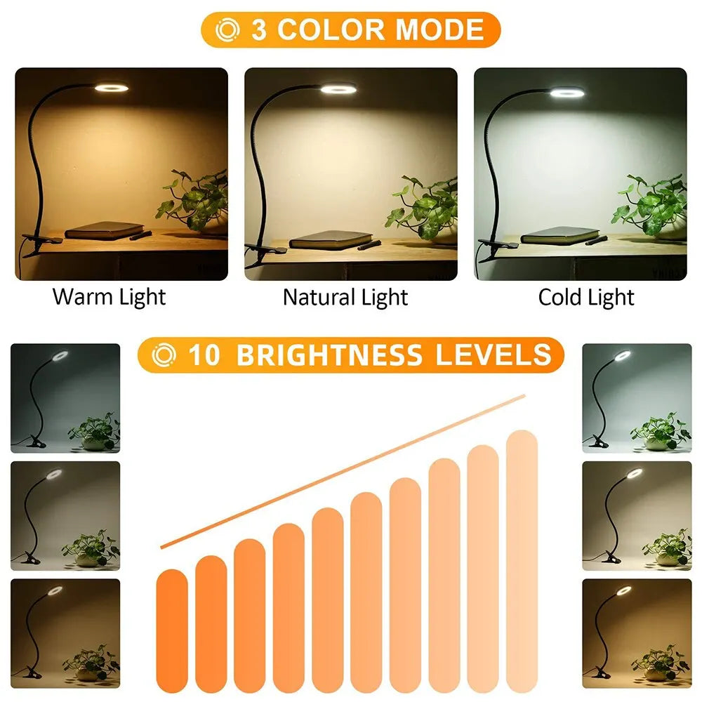 Đèn Kẹp Bàn LED Học Tập USB, Cổ Ngỗng Linh Hoạt 360° - Daisan Mart