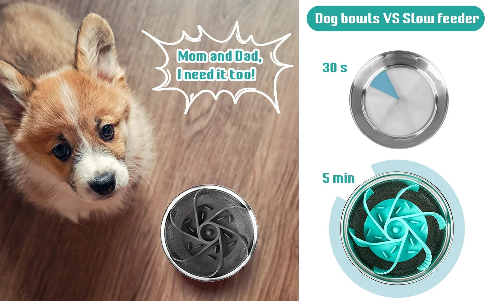 Pet Feeder Plugin Powerful Suction Cup Slow Food Anti Choking Bowl Convenient Easy Clean Extended Dogs Eating Time Pet Supplies - Daisan Mart
