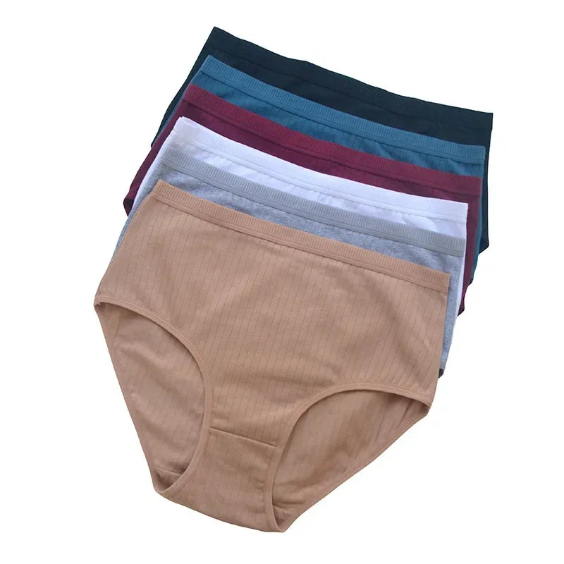 Quần Lót Nữ Cotton Cạp Cao Thoáng Mát Size Lớn 6 Cái - Daisan Mart