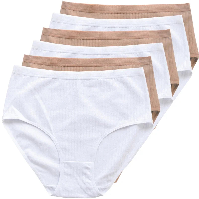 Quần Lót Nữ Cotton Cạp Cao Thoáng Mát Size Lớn 6 Cái - Daisan Mart