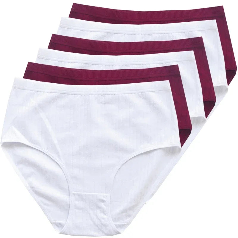 Quần Lót Nữ Cotton Cạp Cao Thoáng Mát Size Lớn 6 Cái - Daisan Mart
