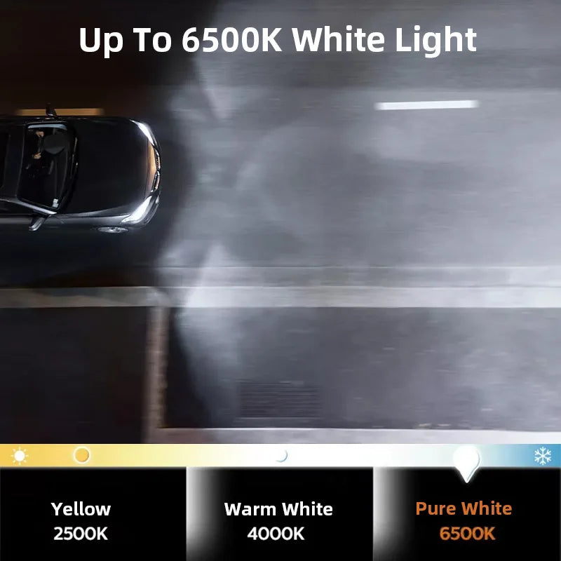 Bóng Đèn LED Philips Ultinon Rally 3551 Siêu Sáng 50W - Daisan Mart
