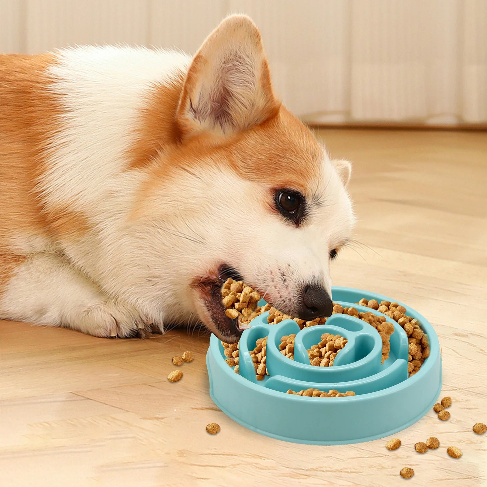 Pet Dog Slow Feeder Bowl Fun Non Slip Anti-Gulping Slower Food Feeding Dishes Eco Dog Bowl for Large Medium Small Dogs Puppy - Daisan Mart
