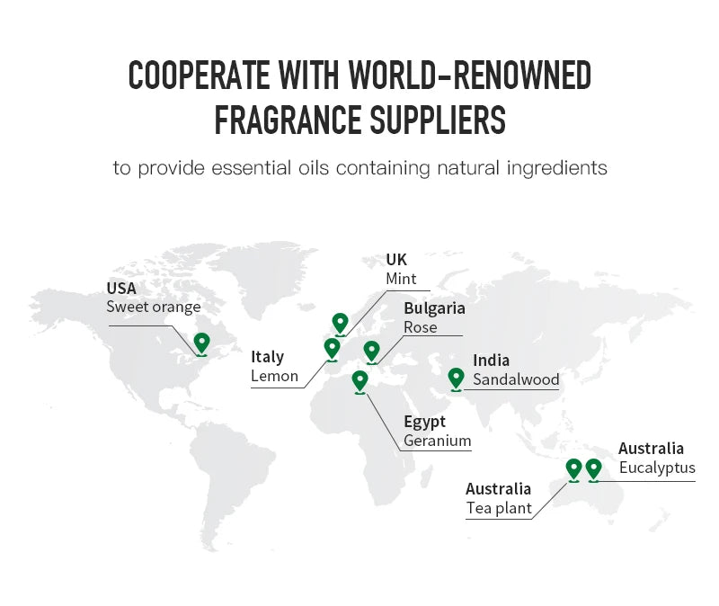 NAMTSE Support Dropshipping 500ML Hotel Collection Essential Oil Scent Luxury Hotel Inspired Perfumes Aroma Essential Oil - Daisan Mart