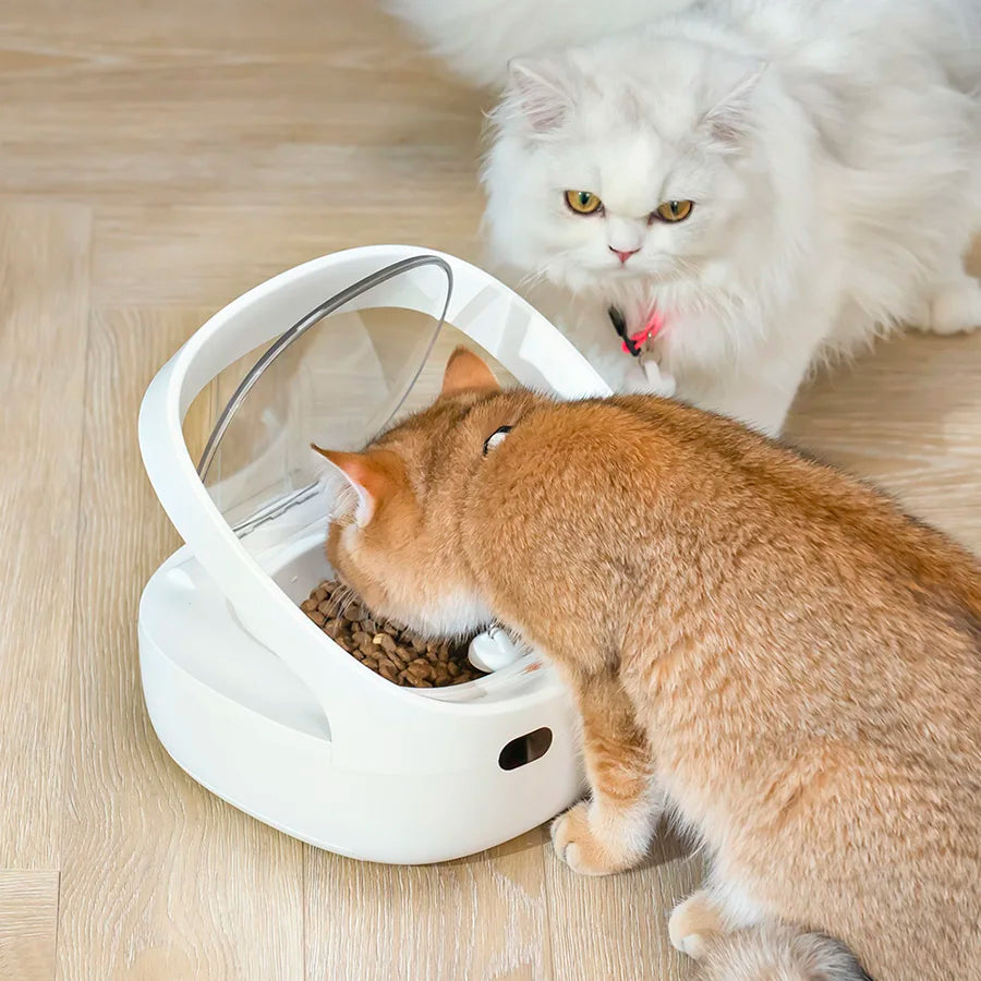 New Petoneer NutriCare Feeder Tailored For Multi-Pet Households Pet feeder Cat And Dog Feeder With App Global Version - Daisan Mart